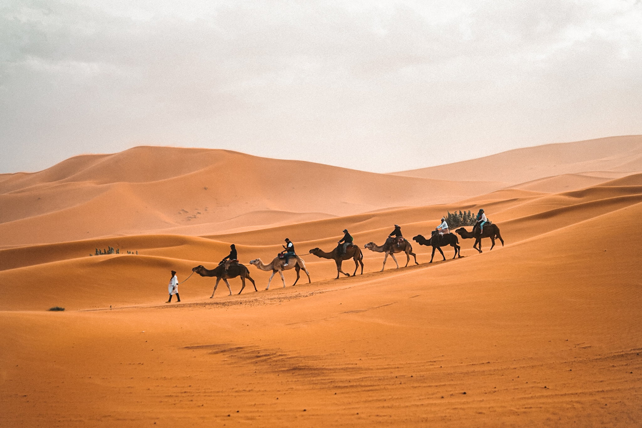 My Travel Morocco