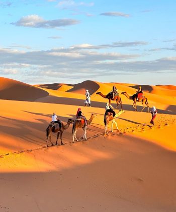 373560601_18198343477259925_7662860467029799317_n